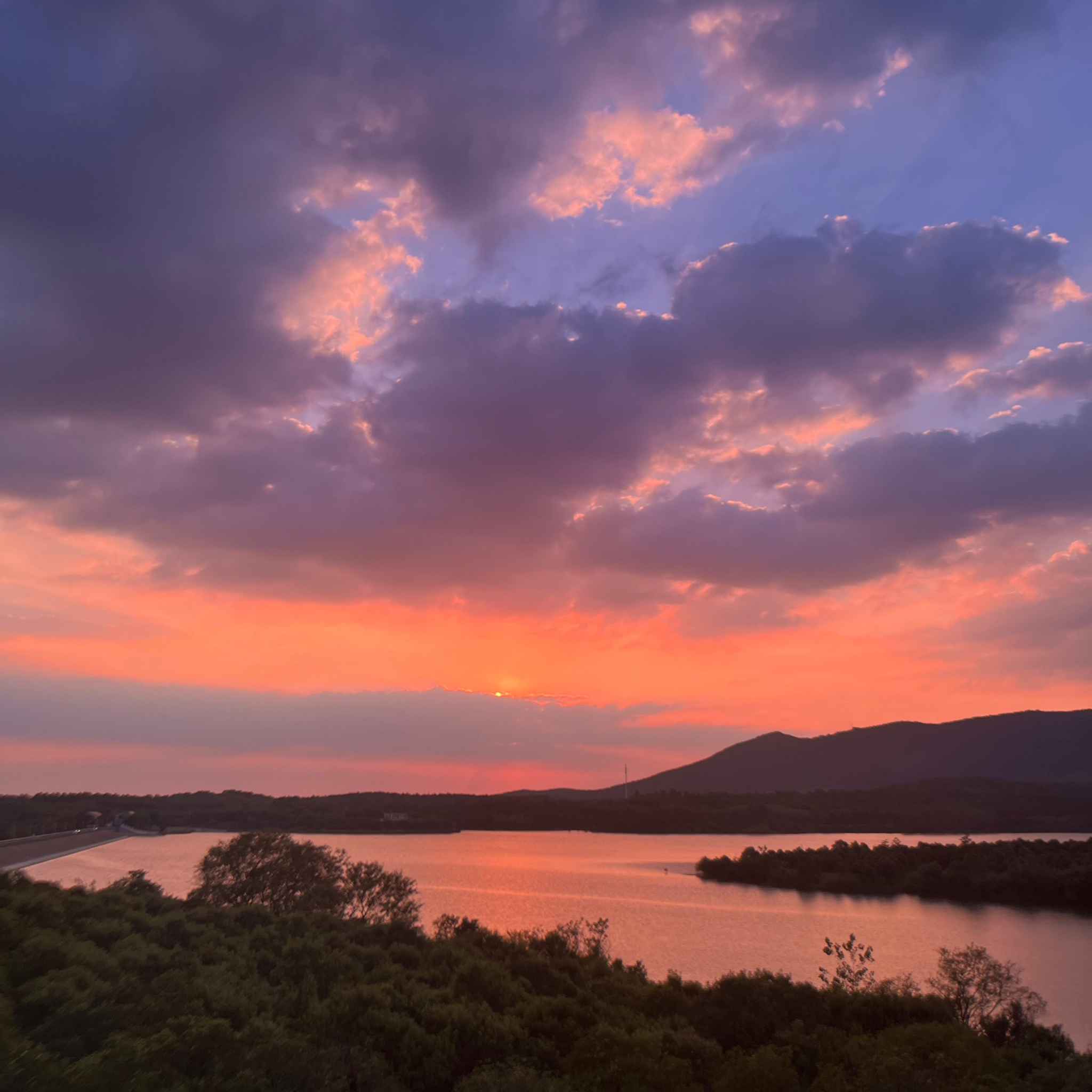 展会H5落地页测试