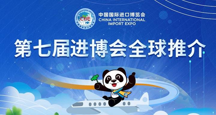 2024上海进博会什么时候开始